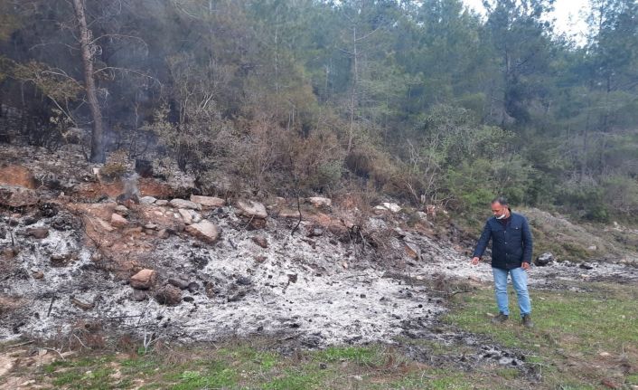 Bahçe temizliği sonrası yakılan ateş hem ormanı hem kaplumbağayı yaktı