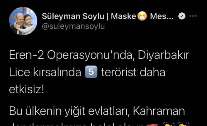 Bakan Soylu açıkladı, Lice kırsalında 5 terörist etkisiz hale getirildi