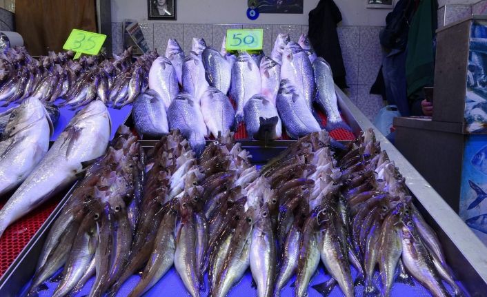 Balık av sezonunda sona doğru