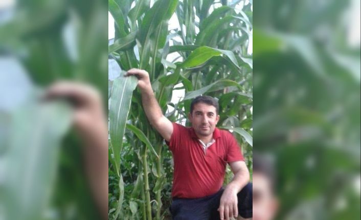 Batman’da aracın çarptığı güvenlik korucusu şehit oldu