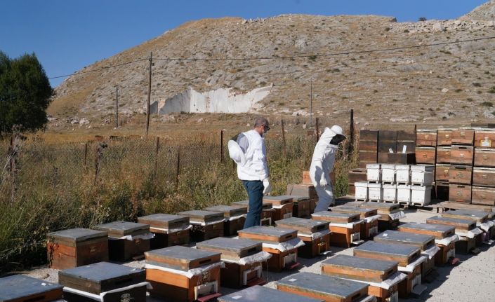 “Bayburt Üniversitesi Arıcılık AR-GE Merkezi Kurulması ve Bölge Arıcılığının Geliştirilmesi” projesinin destek sözleşmesi imzalandı