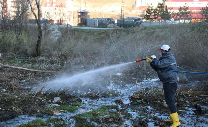 Bitlis’te ilaçlama çalışmaları devam ediyor