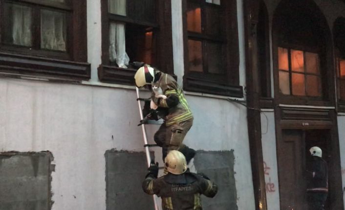 Bursa’da korkutan yangın: 1 kişi dumandan etkilendi, onlarca kedi kurtarıldı