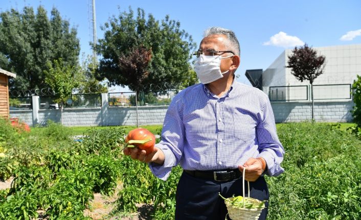 Büyükşehir, 2021’de tarım ve hayvancılığa özel önem verecek