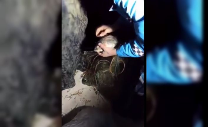 Eğirdir Gölü’nde metrelerce sahipsiz ağ ve kaçak avlanılan canlı balık ele geçirildi