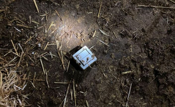 Elektrik kablosunu kemiren 7 büyükbaş hayvan telef oldu