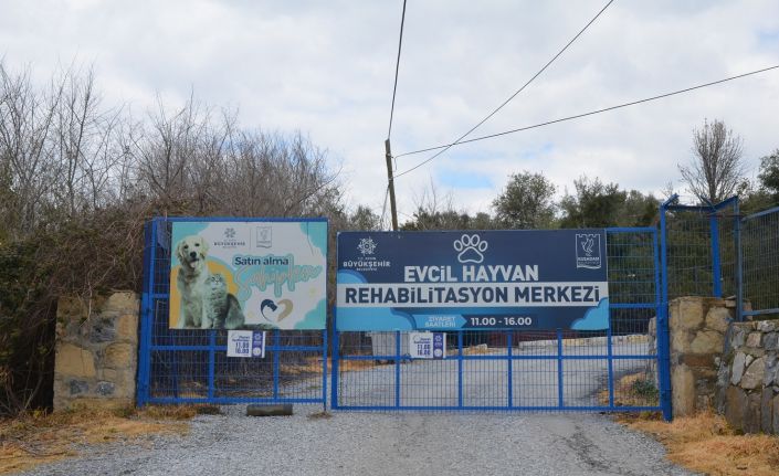 “Evcil Hayvan Rehabilitasyon Merkezi 10 gün içinde yeniden ziyarete açılacak