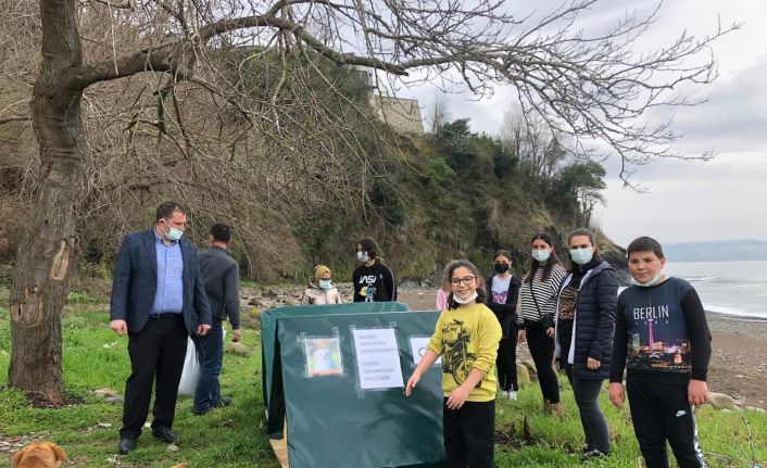 Fatsalı öğrencilerden sokak hayvanlarına kulübe desteği