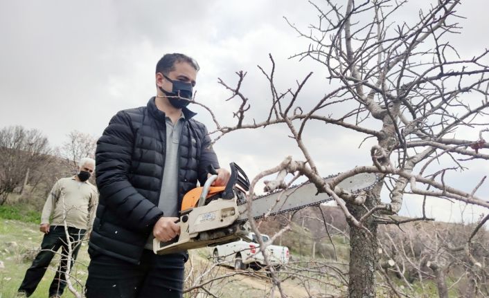İlçeye katma değer, 24 bin yabani menengiç ağacında Antep fıstığı yetişecek