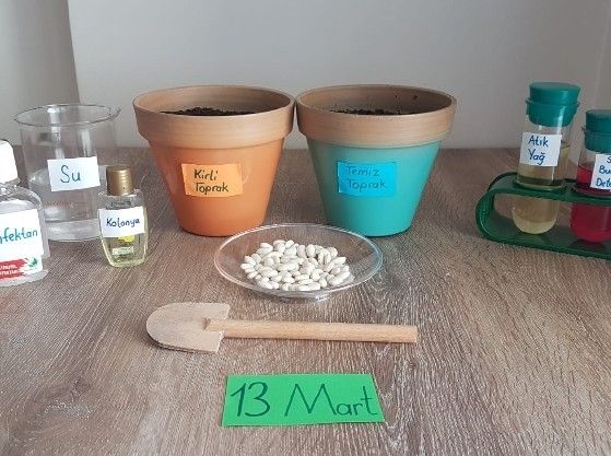 İlkokul öğrencileri, çeşitli etkinliklerle doğa ile bağ kurma yetisini geliştiriyor