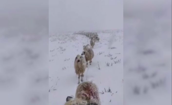 Kar yağışını sosyal medya hesabından canlı yayınla paylaşan vatandaşın takipçileri ile diyaloğu güldürdü