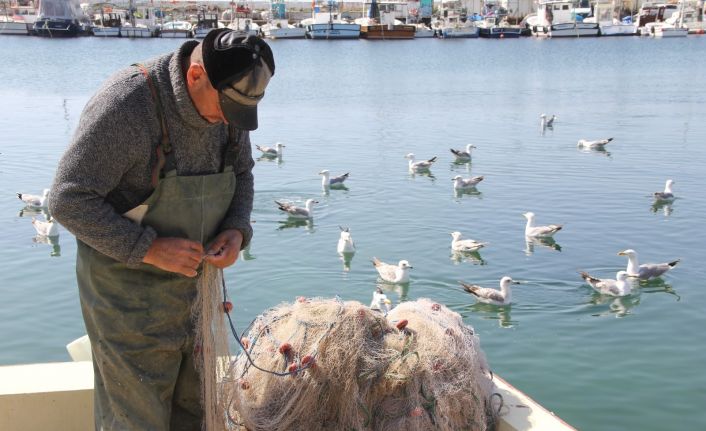 Küçük balıkçıların başı yunuslarla dertte