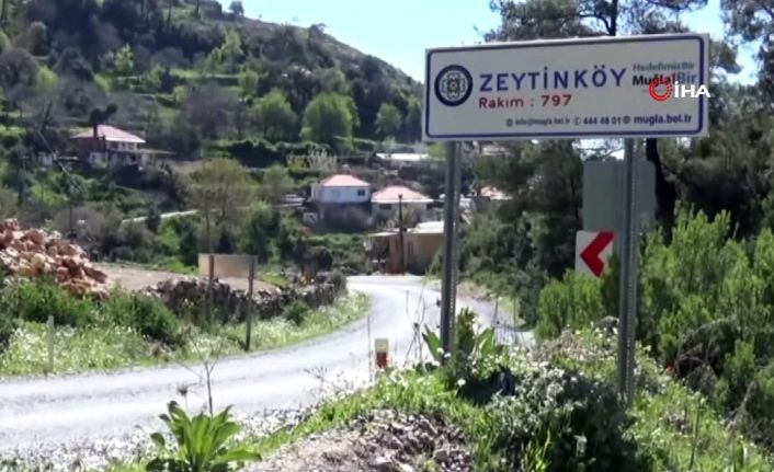 Muğla’da cinayet: Baba ve oğlu kavgalı olduğu komşusu tarafından öldürüldü (1)