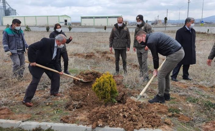 Okul bahçeleri dikilen fidanlarla güzelleşiyor