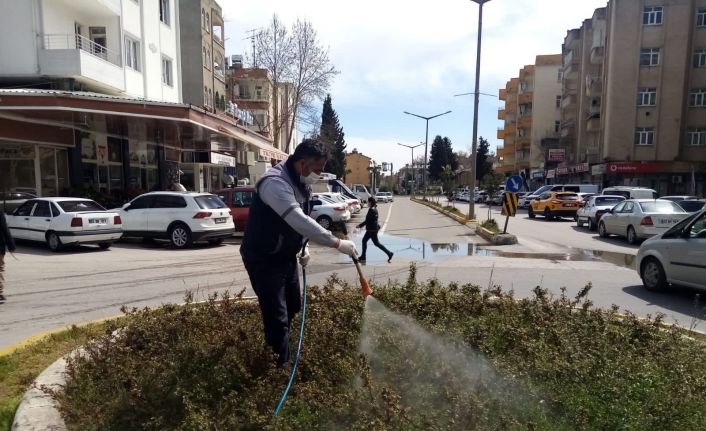 Parklarda haşere mücadelesi