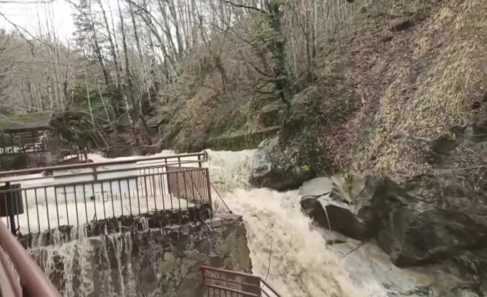 Samandere şelalesi taştı, bölge ziyaretçilere kapatıldı