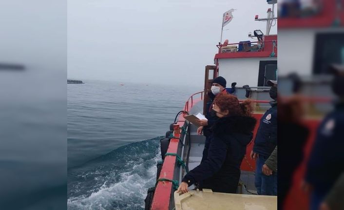 Sinop’un ‘Türk somonu’ temiz çıktı