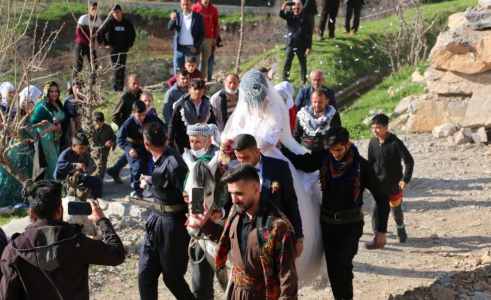 Şırnak’ta unutulmaya yüz tutan gelenek yaşatılıyor: Gelini ata bindirip damat evine götürdüler