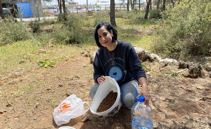 Sokak hayvanlarını beslemek için her gün kilometrelerce yol kat ediyor