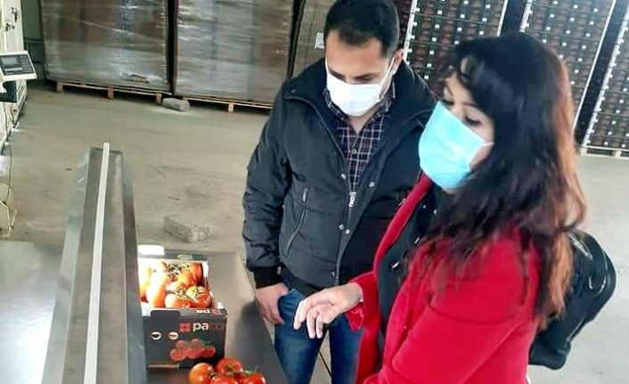 Söke’den 2021 yılının ilk üç ayında 15 bin ton zirai ürünün ihracatı yapıldı