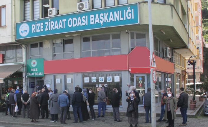 Tam kapanma öncesi çay müstahsillerinin belge kuyruğu