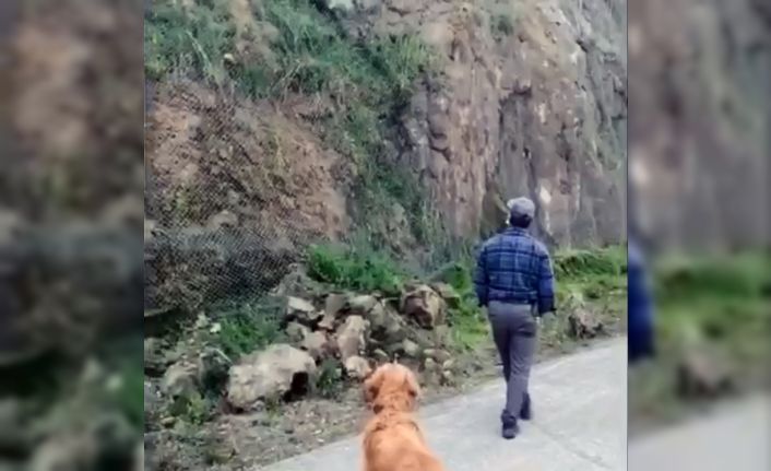 Tel örgülerin arkasında sıkışan kargayı gören köpek haber verdi, itfaiye kurtardı