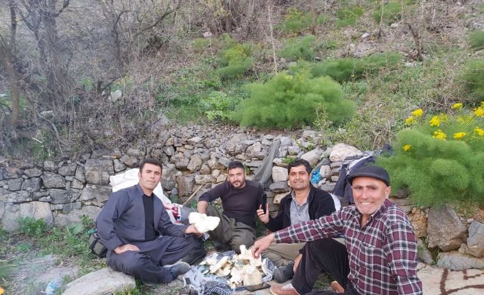 Terör nedeni ile Şırnak’tan göç eden dengbej, huzur ortamının sağlanmasıyla memleketinin yolunu tuttu