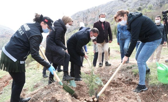 Tokat’ta, "En İyi Narkotik Polisi Anne" Projesi kapsamında fidanlar toprakla buluştu