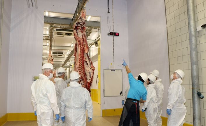 Ukraynalı heyet Kocaeli’deki mezbahaya hayran kaldı