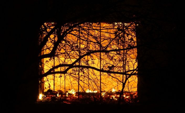 Uşak’ta çıkan yangında 2 ev ve 1 ahır kül olurken çok sayıda koyun ve kuzu telef oldu