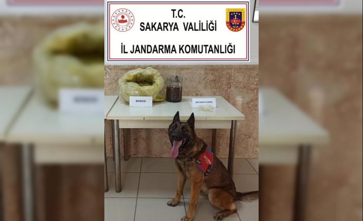 Uyuşturucu operasyonunda 6 buçuk kilo bonzai, 11 gram metamfetamin ele geçirildi