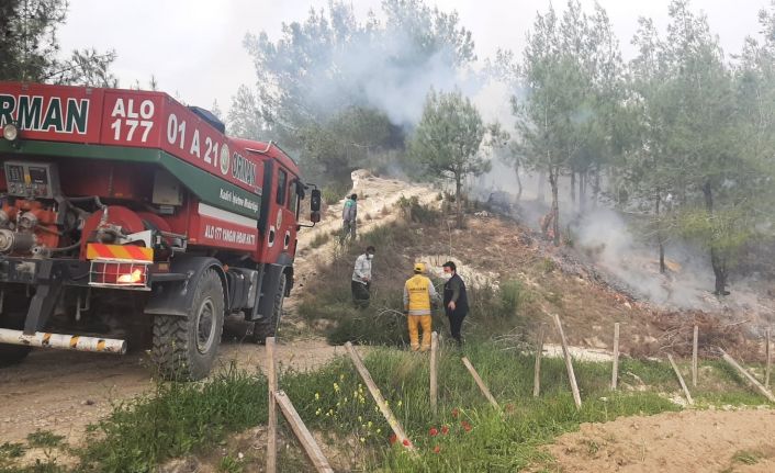 Yaşlı adam, çıkardığı orman yangınını çalıyla söndürmeye çalıştı