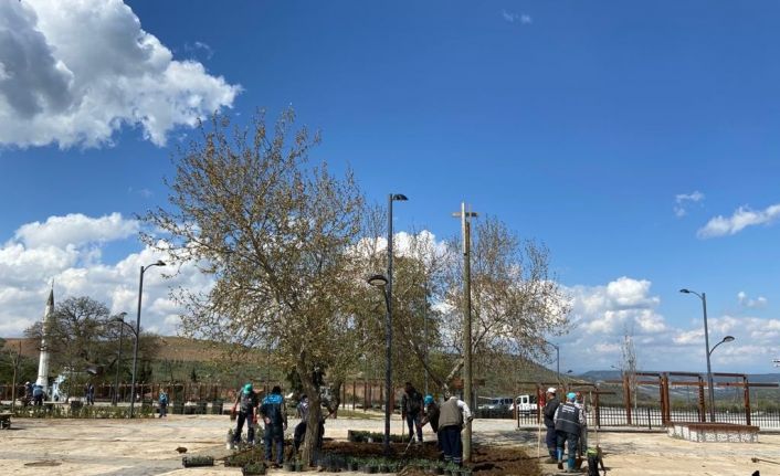 Yunus Emre ve Tabduk Emre Türbesi’nin peyzaj çalışması tam not aldı