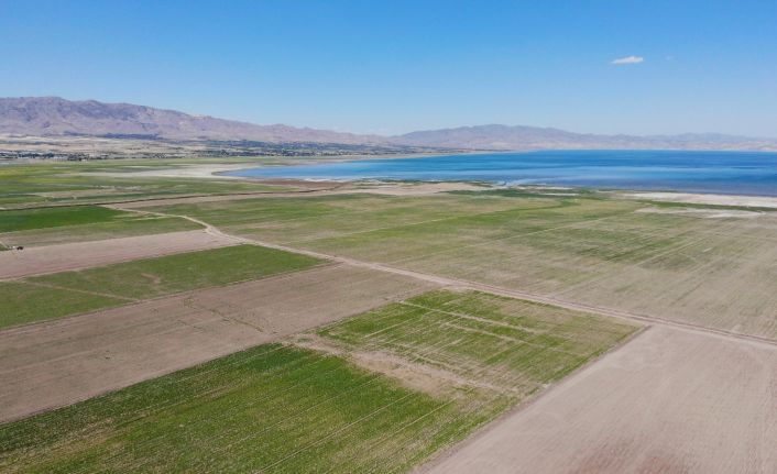 12 yıl önceki kuraklık tekrar baş gösterdi, kuruyan baraj havzasında tarıma başlandı