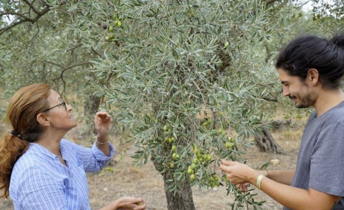 14. Ulusal Naturel Sızma Zeytinyağı Kalite Ödülleri Yarışması’nda Aydın’a gümüş madalya
