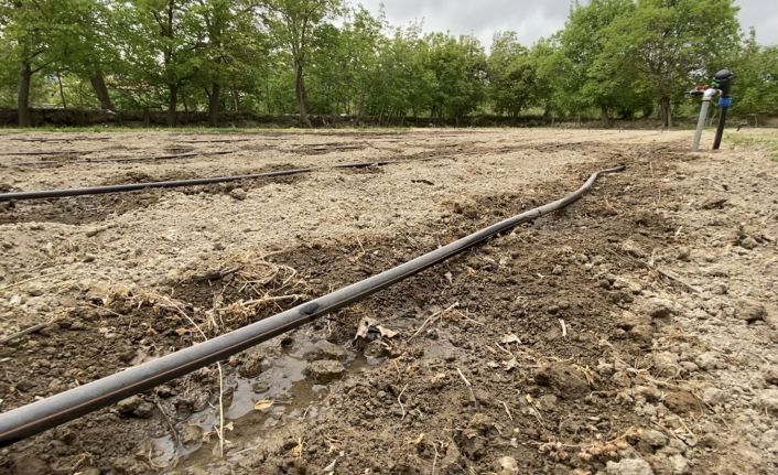 Afyonkarahisar’da sulama sezonu başladı