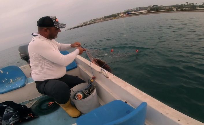 Amatör balıkçı, ağa takılan Caretta Caretta’yı ‘gülüm, bir tanem’ diyerek kurtardı