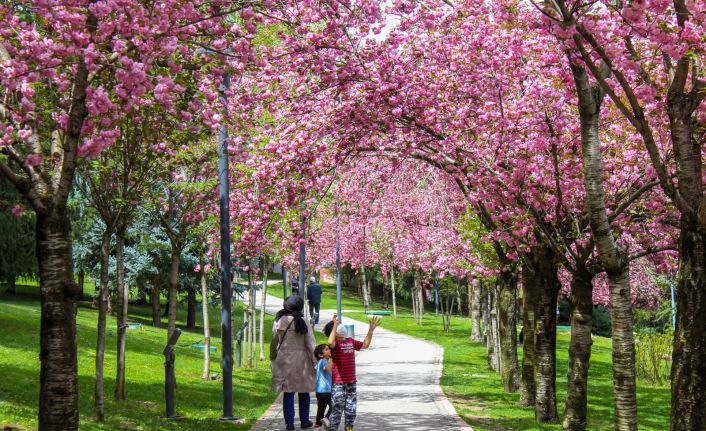 Ankara Dikmen Vadisi, Japonya’yı aratmadı