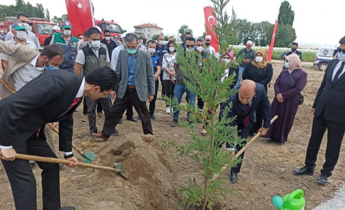 Bakan Kurum’un telekonferans katılımıyla Şuhut Millet Bahçesinde ilk fidan toprakla buluştu