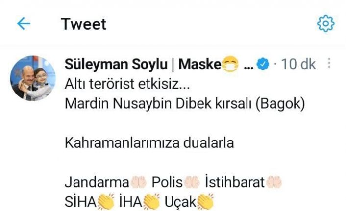 Bakan Soylu sosyal medya hesabından duyurdu: Mardin’de 6 terörist etkisiz hale getirildi
