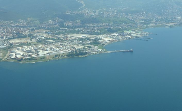 Balıkçıların korkulu rüyası İzmit Körfezi’ni büyük oranda terk etti