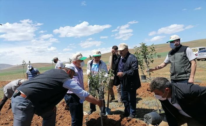 Bayburt’ta “Her Köye Bir Orman Projesi” kapsamında fidanlar toprakla buluşturuldu