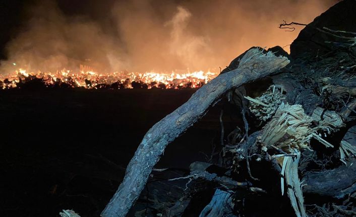 Biyokütle yakıtlı enerji santralindeki yangın 80 bin metrekarelik alanda sürüyor