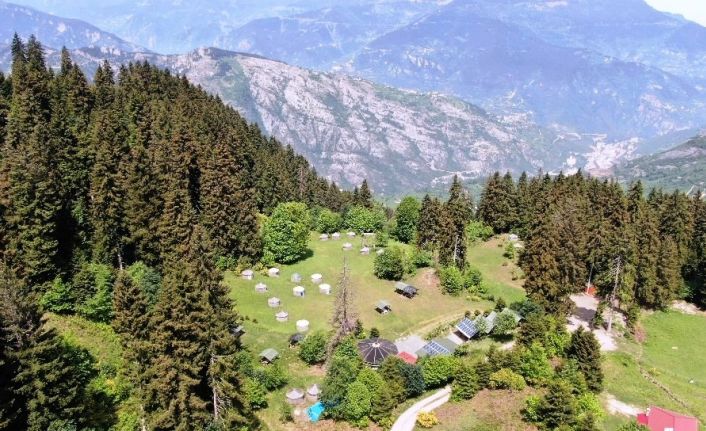 Bu obada ayı ve kurt görene 10 günlük tatil bedava