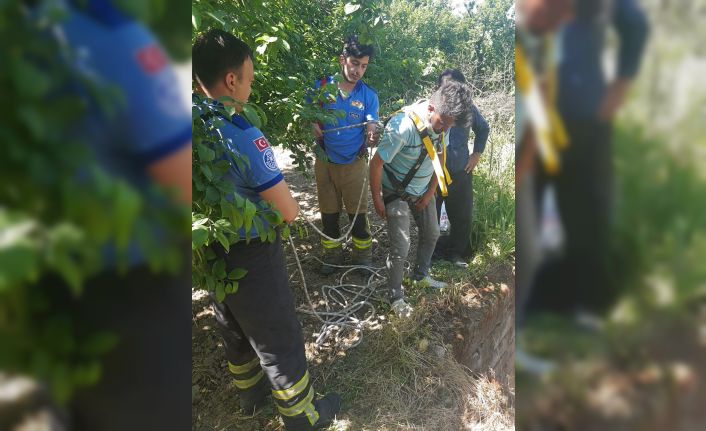 Bursa’da kuyuya düşen çakalı ekipler kurtardı