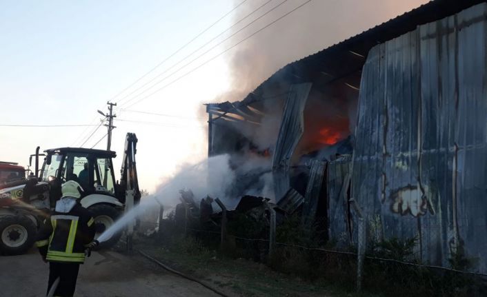 Çiftliğin saman deposunda korkutan yangın