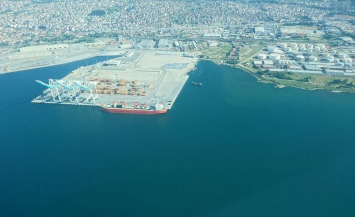 Deniz salyasının istila ettiği İzmit Körfezi eski haline dönüyor