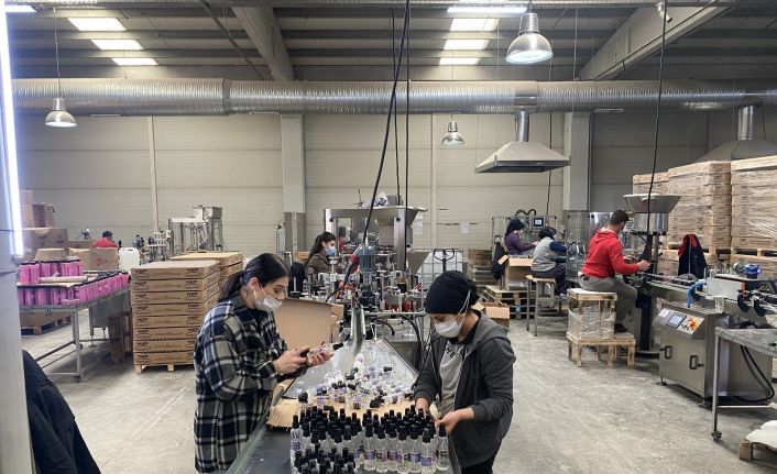 Dünya Türk kolonyasını kullanıyor