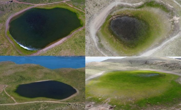 Elazığ’ın 2 bin rakımdaki kalp gölü Bervi kurudu, hayvanlara otlak oldu