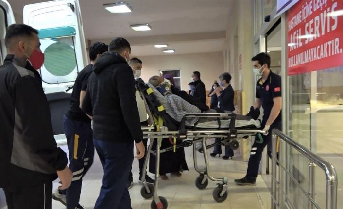 Eşeğin saldırısına uğrayan yaşlı adam yaralandı